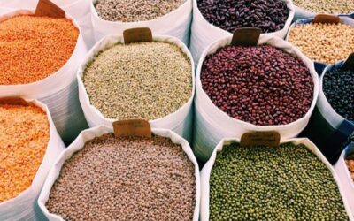 lentilles nutritionnelles