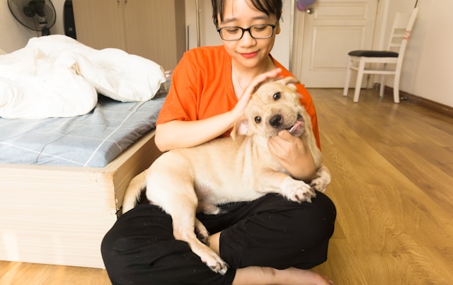 Les bienfaits insoupçonnés des animaux de compagnie sur les troubles neurologiques